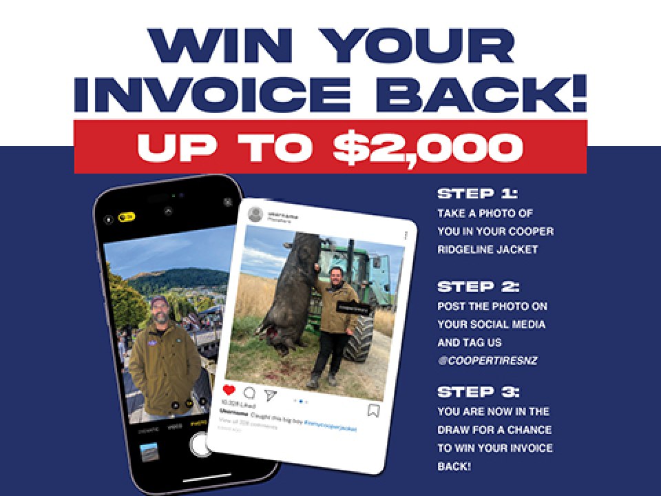 Win Your Invoice Back